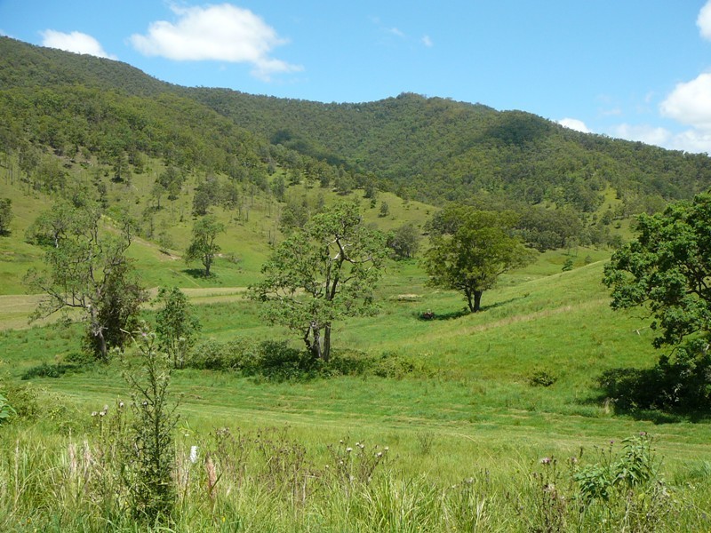 Lower Creek NSW 2440
