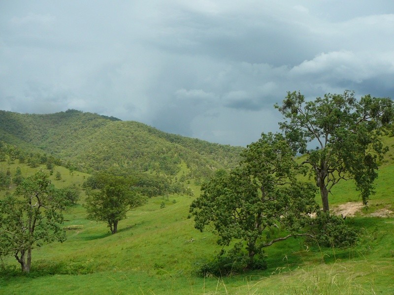 Lower Creek NSW 2440