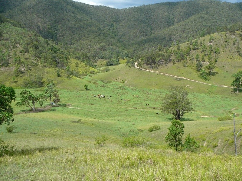 Lower Creek NSW 2440