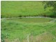 Lower Creek NSW 2440