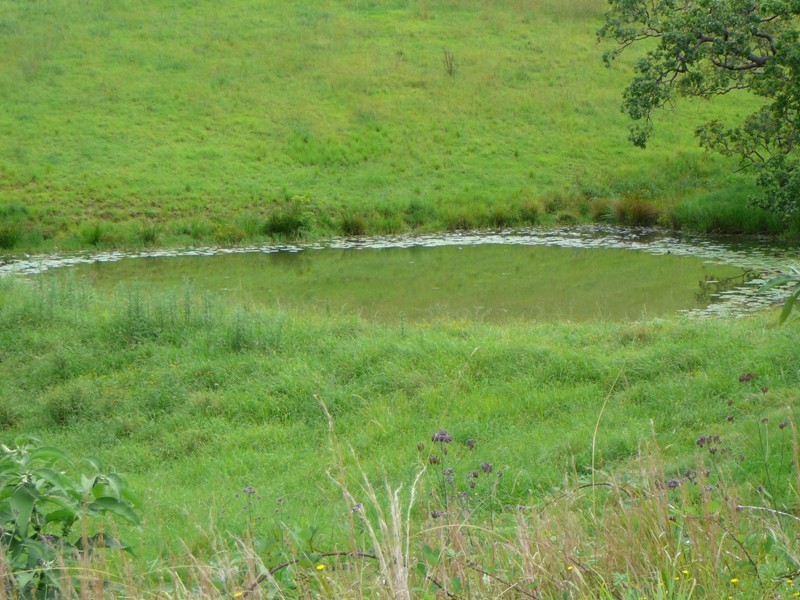 Lower Creek NSW 2440
