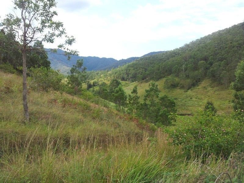 Lower Creek NSW 2440