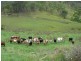 Lower Creek NSW 2440