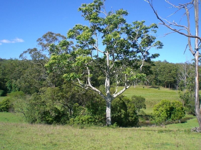 Mungay Creek NSW 2440