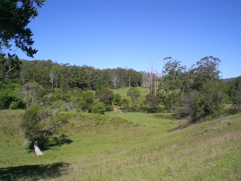 Mungay Creek NSW 2440
