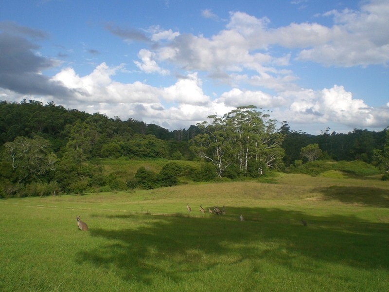 Mungay Creek NSW 2440