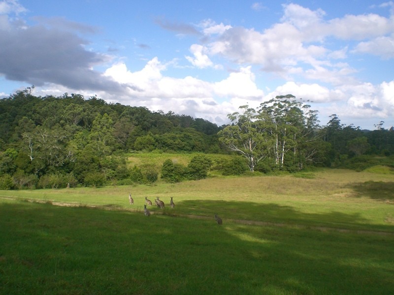 Mungay Creek NSW 2440