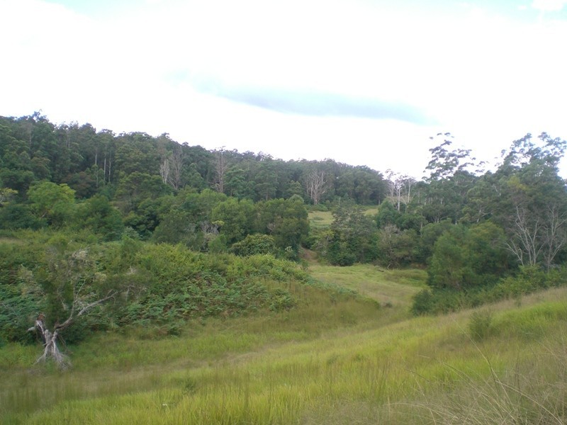 Mungay Creek NSW 2440