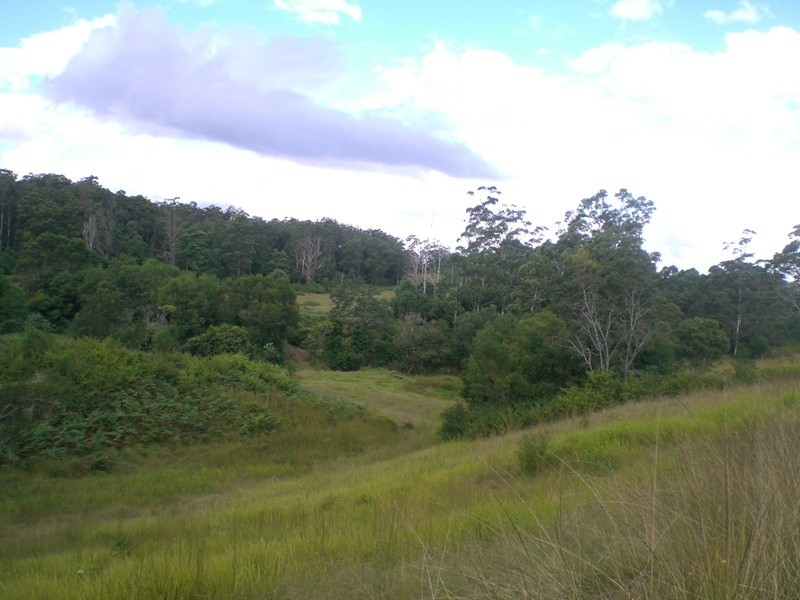 Mungay Creek NSW 2440