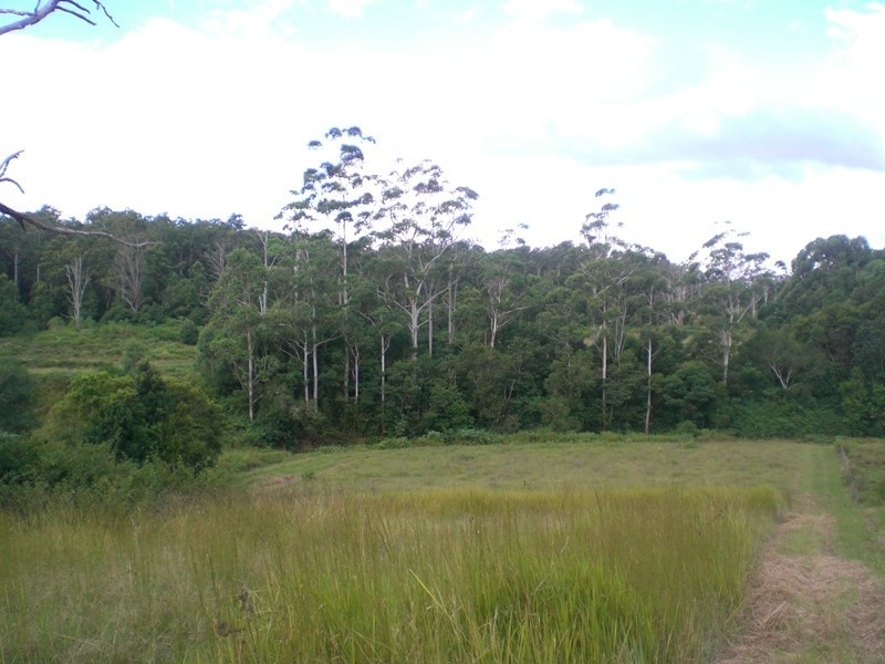 Mungay Creek NSW 2440