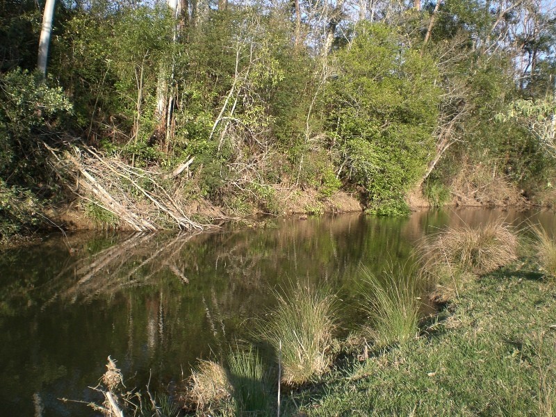 Mungay Creek NSW 2440