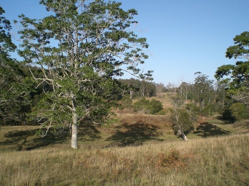 Mungay Creek NSW 2440