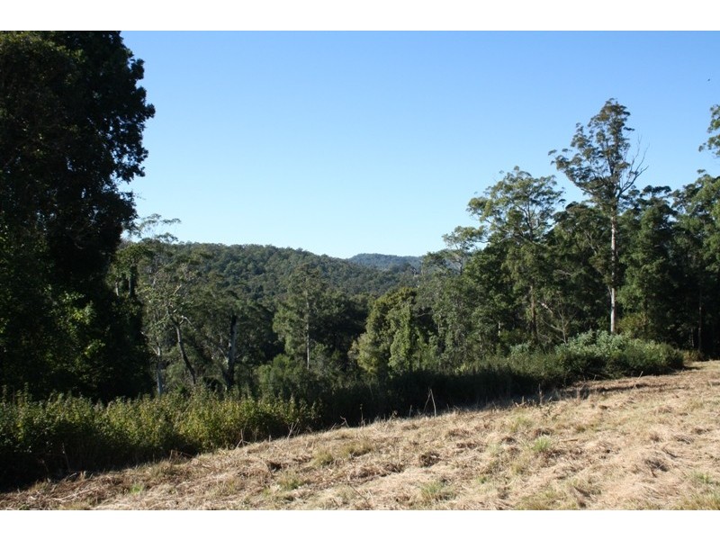 . Dungay Creek Road, Wittitrin NSW 2440