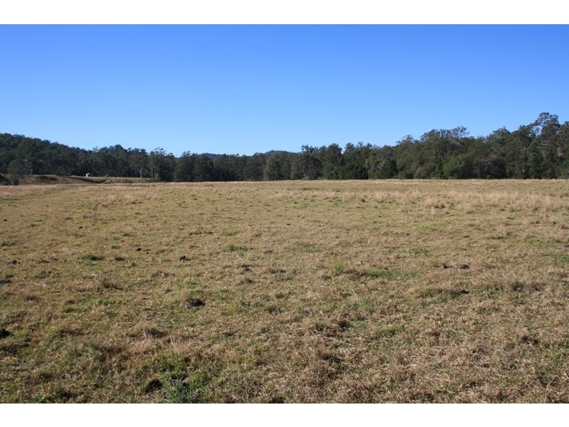 . Dungay Creek Road, Wittitrin NSW 2440