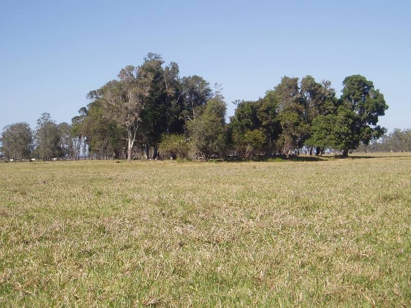 210 Menarcobrinni Road, Clybucca NSW 2440