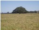 210 Menarcobrinni Road, Clybucca NSW 2440