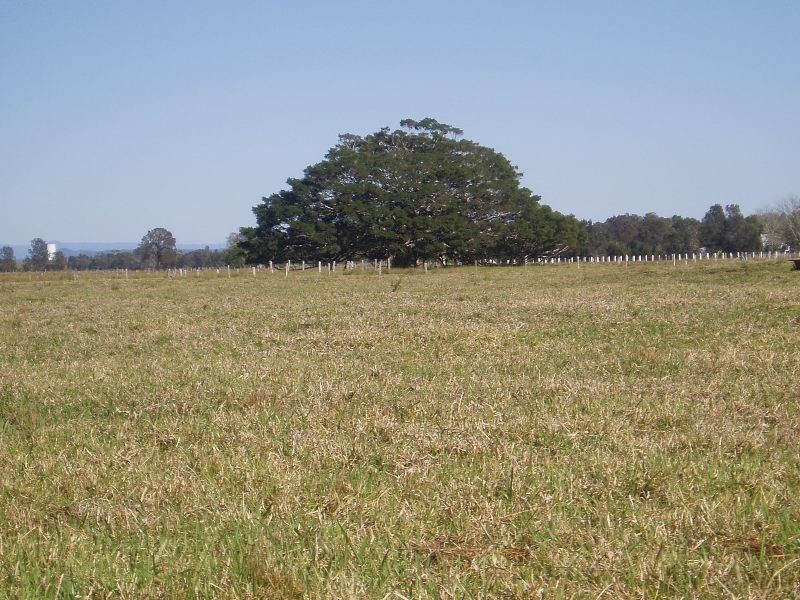 210 Menarcobrinni Road, Clybucca NSW 2440