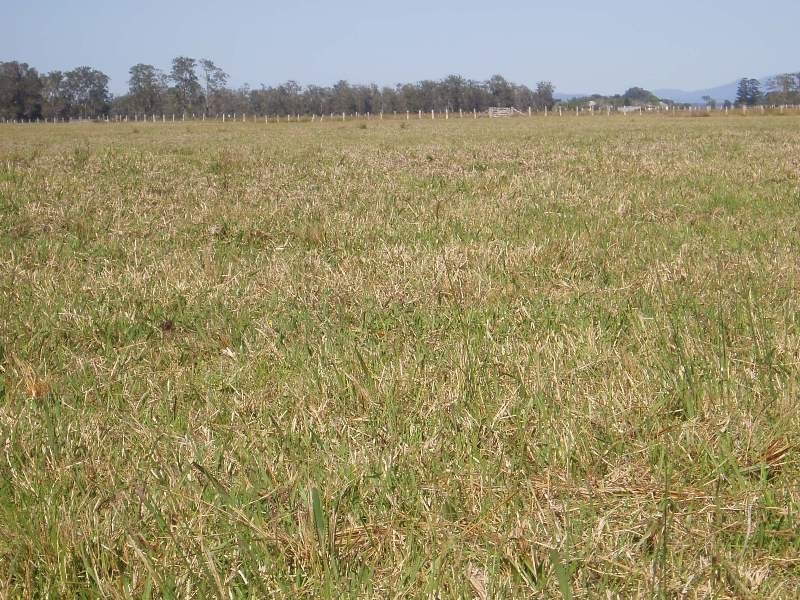 210 Menarcobrinni Road, Clybucca NSW 2440