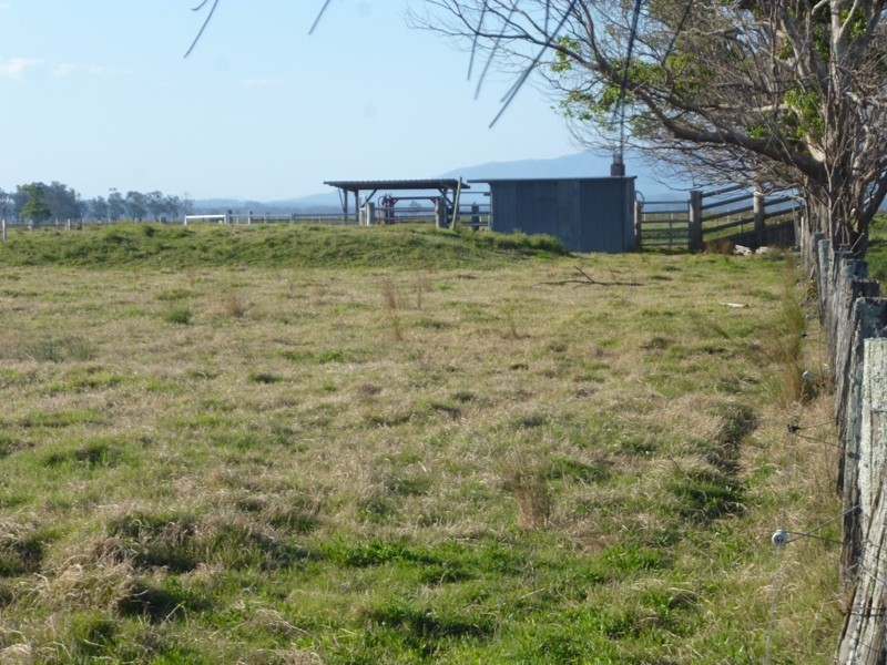 Bellimbopinni NSW 2440