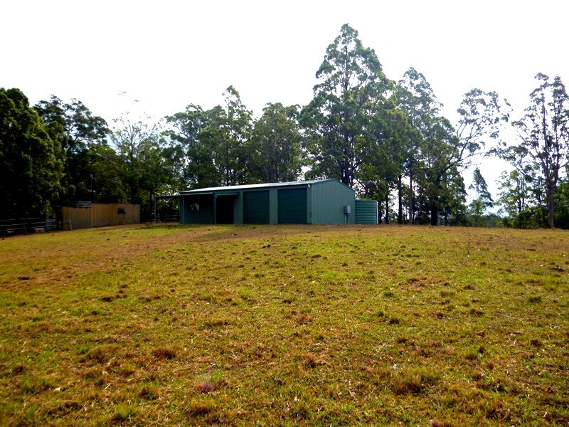 Lot 1151 Collombatti Road, Collombatti NSW 2440