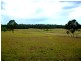 Lot 1151 Collombatti Road, Collombatti NSW 2440