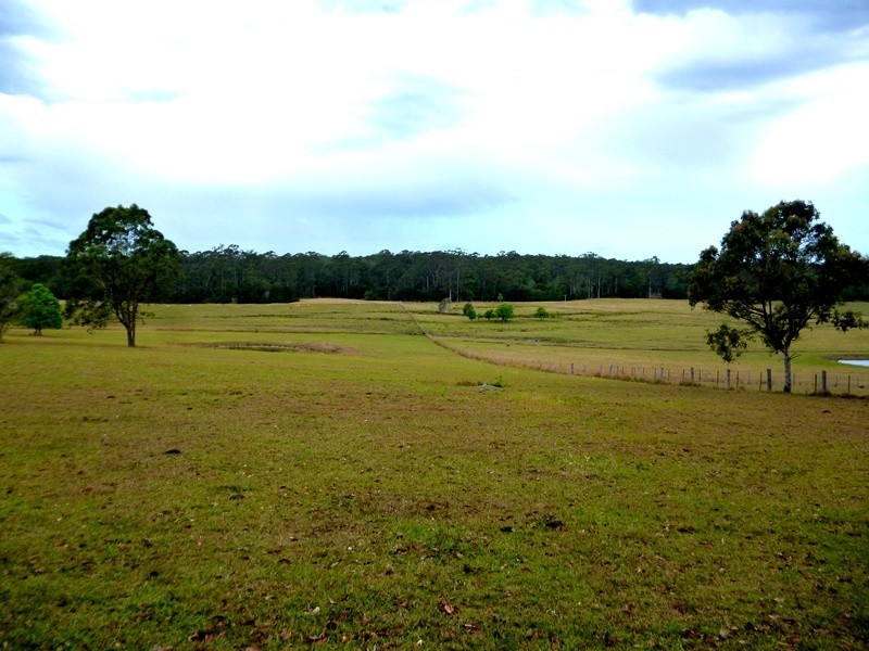 Lot 1151 Collombatti Road, Collombatti NSW 2440