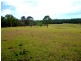 Lot 1151 Collombatti Road, Collombatti NSW 2440