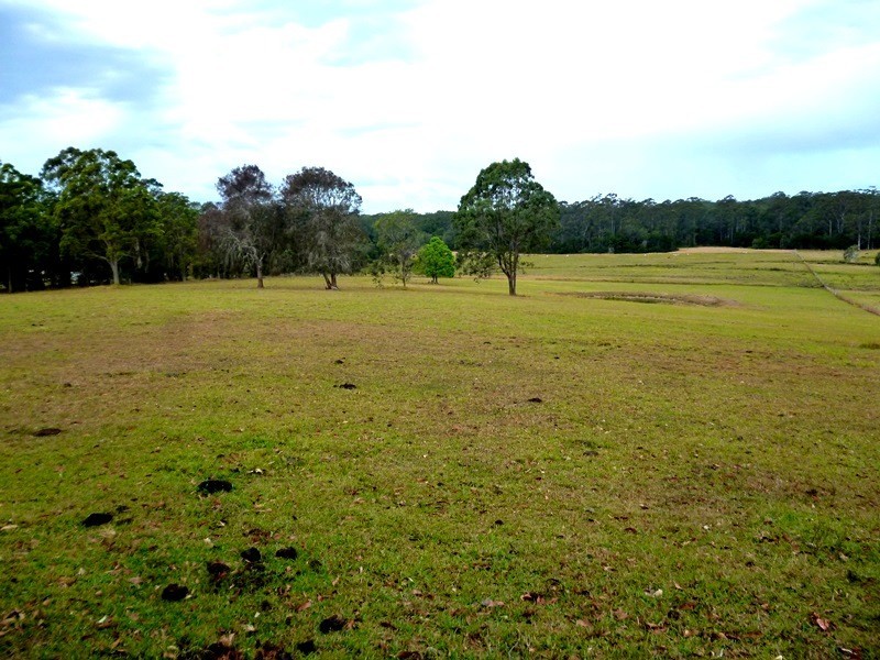 Lot 1151 Collombatti Road, Collombatti NSW 2440