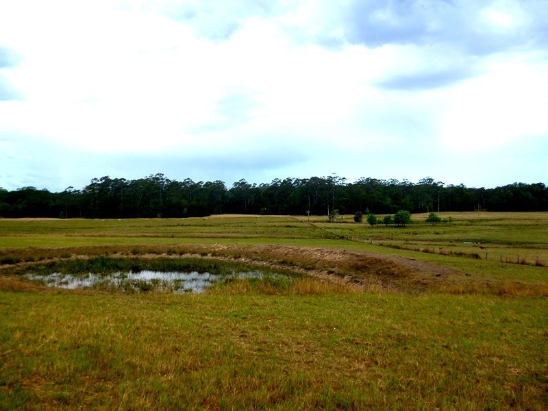 Lot 1151 Collombatti Road, Collombatti NSW 2440