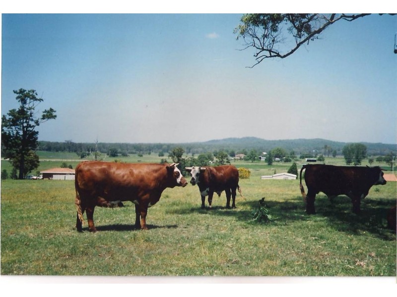 86 South West Rocks Road, Hampden Hall NSW 2440