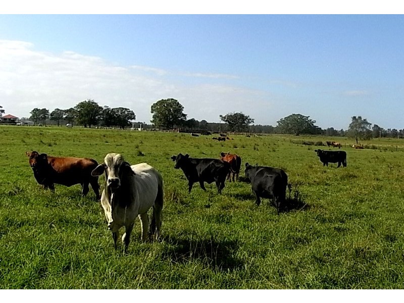 209 Mundays Lane, Hacks Ferry NSW 2441