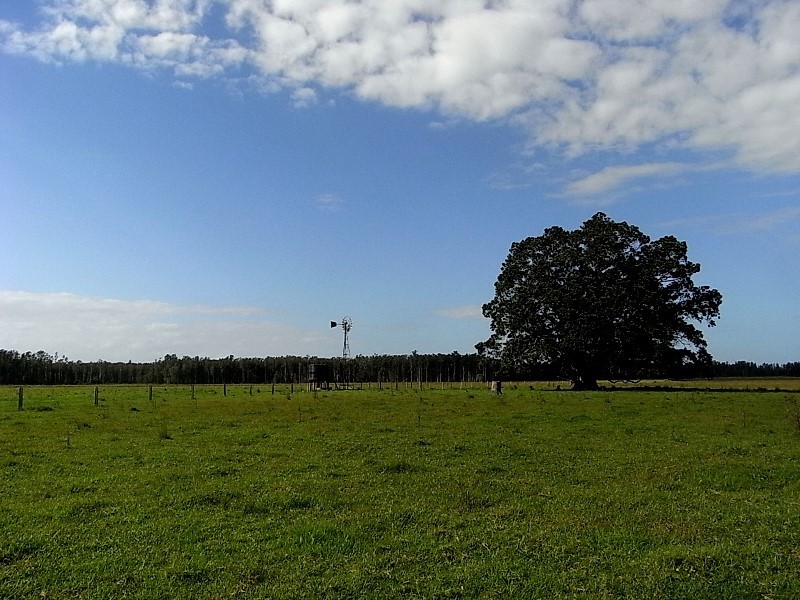 209 Mundays Lane, Hacks Ferry NSW 2441