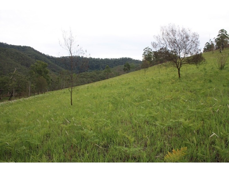 Bellbrook NSW 2440