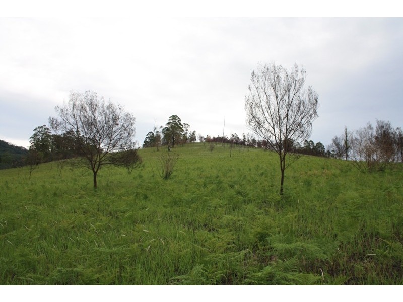Bellbrook NSW 2440