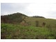 Bellbrook NSW 2440
