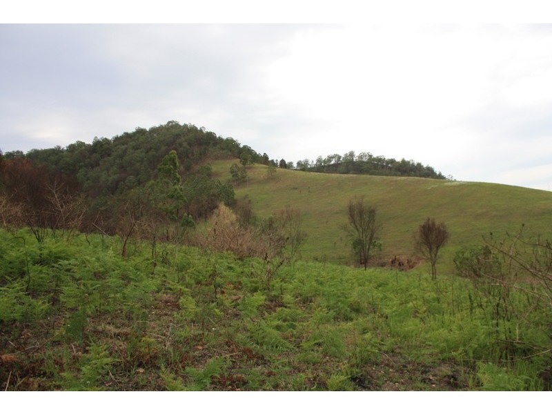 Bellbrook NSW 2440
