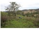 Bellbrook NSW 2440