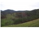 Bellbrook NSW 2440