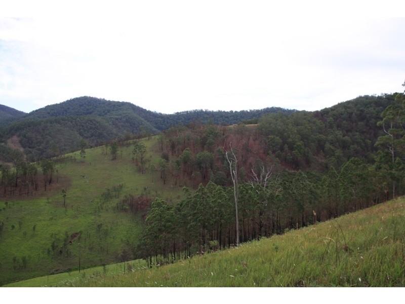Bellbrook NSW 2440