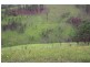 Bellbrook NSW 2440