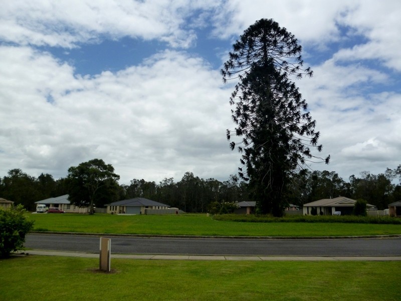 34 Bunya Pine Court, West Kempsey NSW 2440
