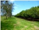 153 Right Bank Road, Belmore River NSW 2440