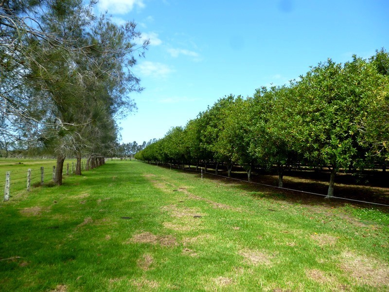 153 Right Bank Road, Belmore River NSW 2440