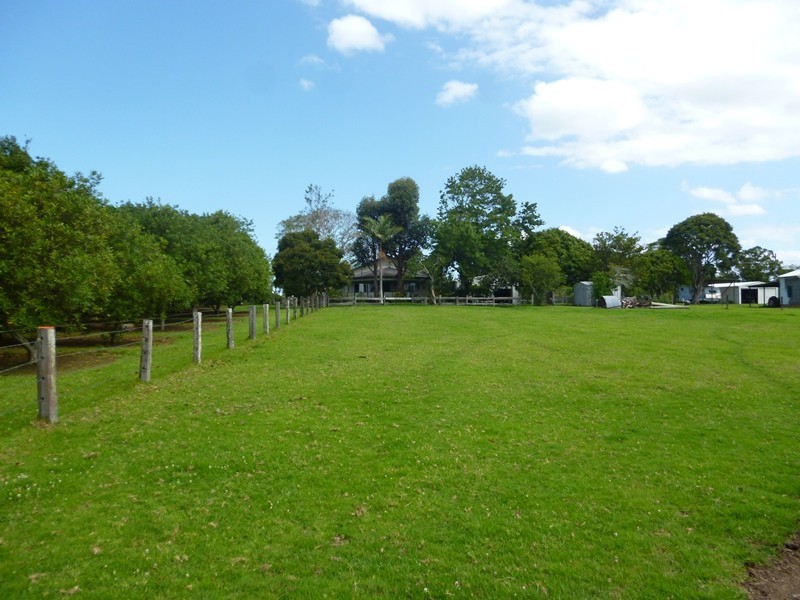153 Right Bank Road, Belmore River NSW 2440