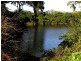 153 Right Bank Road, Belmore River NSW 2440