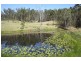 Mungay Creek NSW 2440