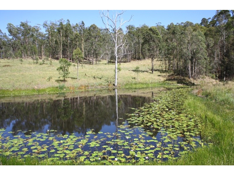 Mungay Creek NSW 2440