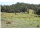 Mungay Creek NSW 2440