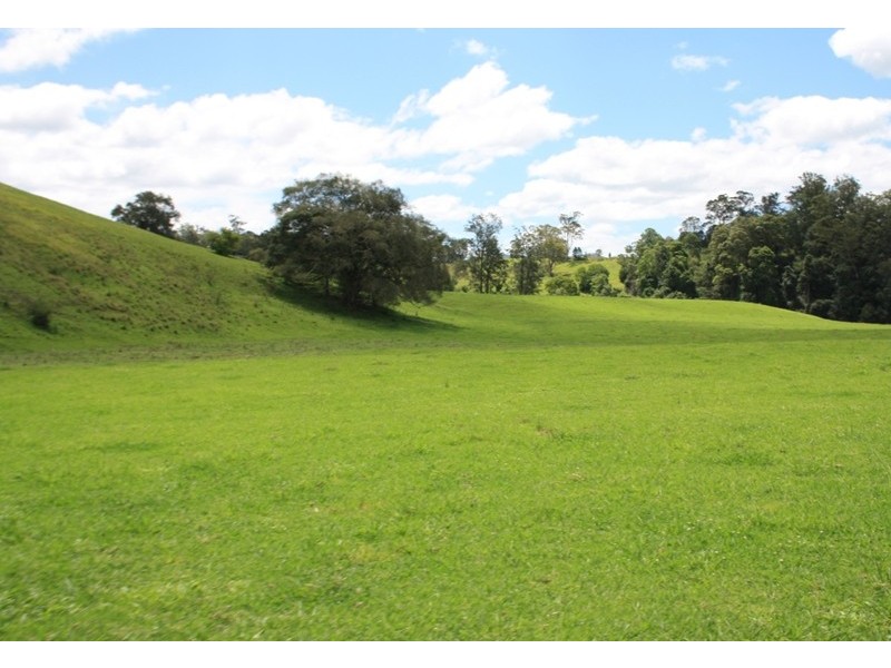Argents Hill NSW 2449