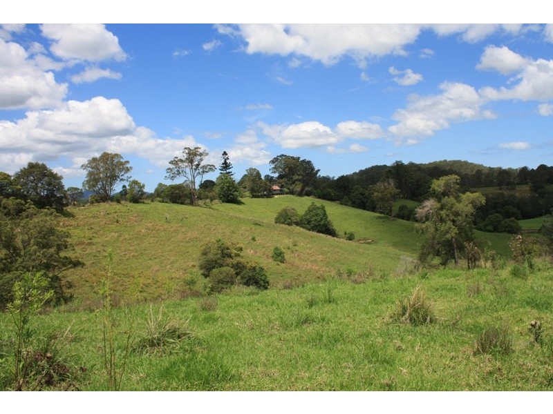 Argents Hill NSW 2449